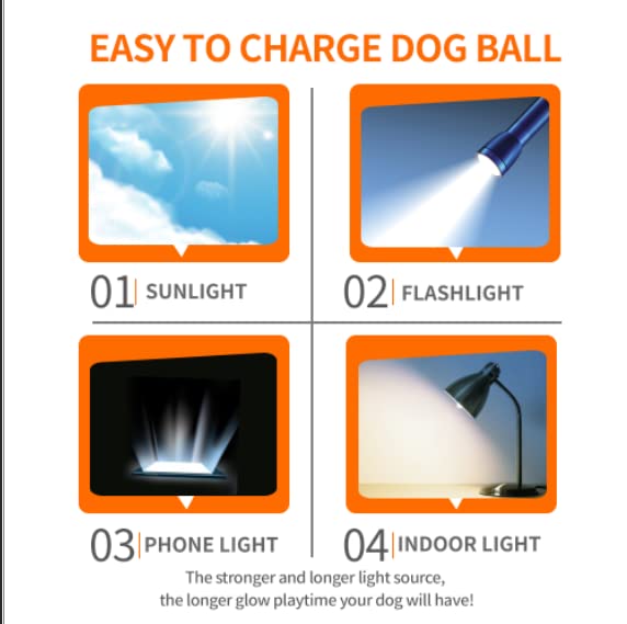 SKIPDAWG Interactive Dog Glow Balls, Rubber Balls Light Up in the Dark, Dog Toys Squeaky Ball Durable TPR Light Weight, Bouncy Glowing Ball Size 2.5 Inches, 2 Pack