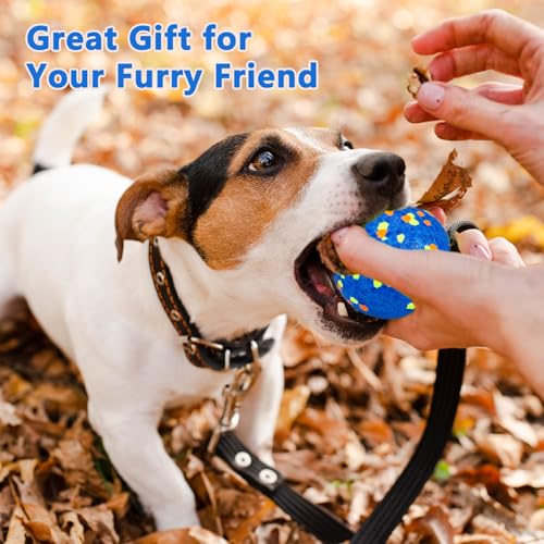 E-TPU Dog Balls, Tough High-Bounce Floating Fetch Toys, 2 Sizes - color: Blue & Yellow (4-Pack), size: Small (2.5" diameter)
