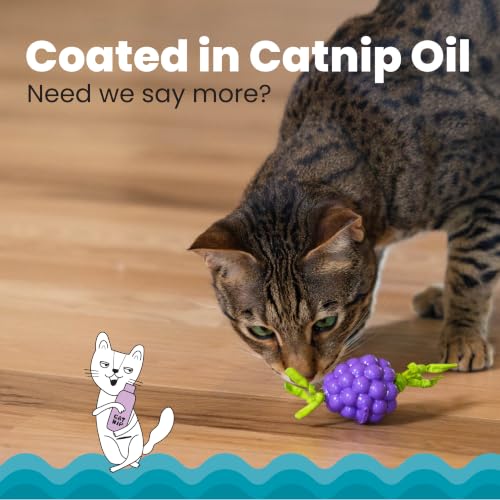 Catstages Bouncing Grape Teether Cat Toy, Soft and Textured Chew, Catnip Oil Coating