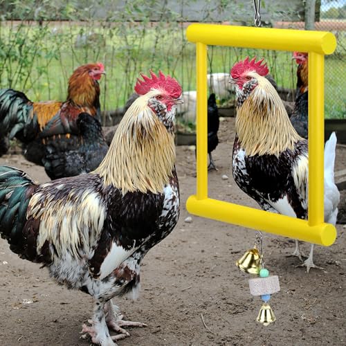 1 Pcs Chicken Mirror Toys Large 12x10 Inch Hanging Swing Mirror with Bell
