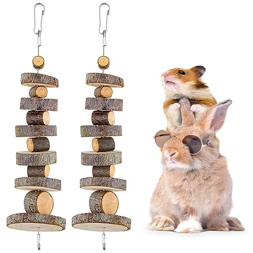 Small Animal Chews Toy Apple Wood Block Cage Hanging Molars Treats Snack