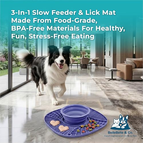 BelleBête & Co. 3-in-1 Pet Slow Feeder Bowl Lick Mat with Collapsible Bowl for Dog & Cat – Food-Grade Material & Non-Slip Base for Kibble, Dry and Wet Food, Digestive Health & Reduce Anxiety | Pink - color: Pink