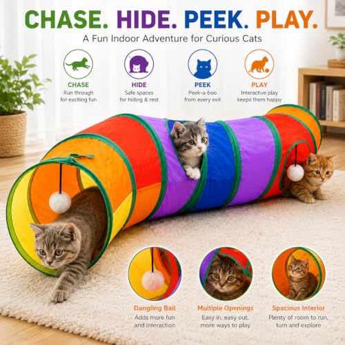 Rainbow Cat Tunnel