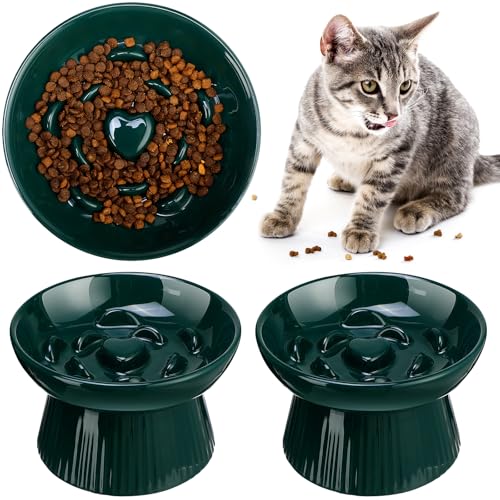Tioncy 1 Pcs Ceramic Elevated Slow Feeder Cat Bowl, Dark Green - color: Dark Green