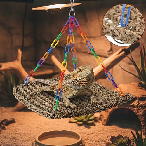 Natural Grass Bird Hammock, Climbing Perch for Pets
