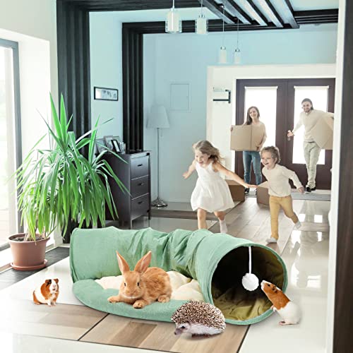 BWOGUE Bunny Tunnel Bed, 2-in-1 Collapsible Rabbit Tunnel Hideout with Mat - color: Green