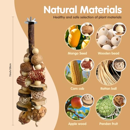 Bird Chew Toy - Natural Apple Wood Corn Cob Parrot Chew Toy, Multi-Functional Cage Hanging Foraging Toy for Budgies, Cockatiels, Conures, Lovebirds & Other Small Medium Birds