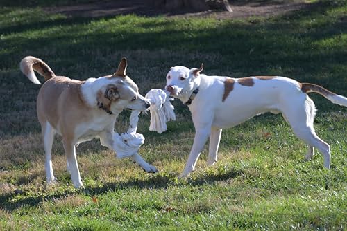 Big TUG Dog Toy. Heavy Duty Cotton Dog Toy, Made with Massive 1-1/2" Rope. White Double Knotted Tug Toy, Extra Large Size for Strong Dogs, Durable Braided Chew Rope with Frayed Ends.