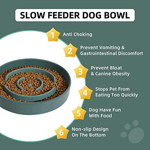 Havniva Ceramic Slow Feeder Dog Bowls, 8.3 in Slow Feeder for Medium Breed - color: Dark Green