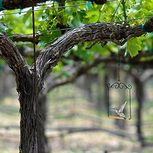 Hotop 2 Pcs Hummingbird Swings and Perches Wooden Dowel Chain, Black