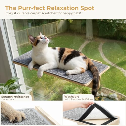 Pecute 2-in-1 Large Cat Window Perch & Wall Shelves, Solid Wood, 21"x11" - size: 21.25"L x 11"W