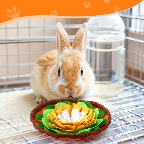 PETKNOWS Rabbit Foraging Mat, Snuffle Puzzle Toy for Small Pets