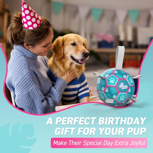 QDAN Dog Toys Soccer Ball with Straps, Pool Dog Water Toy, Outside Ball - color: Lake Blue, size: Medium Size 2 (6 Inch)