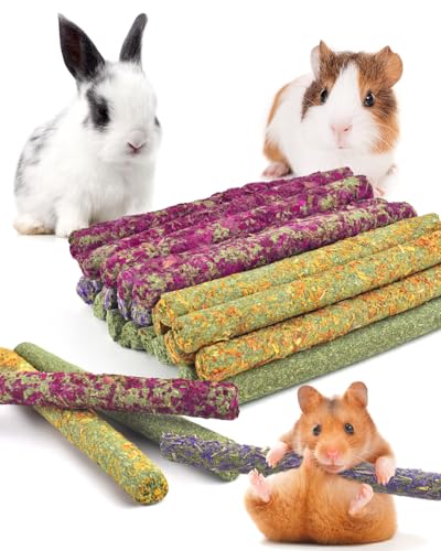 Bissap 22PCS Rabbit Chew Sticks, Natural Molar Treats for Small Pets - size: 22 pieces