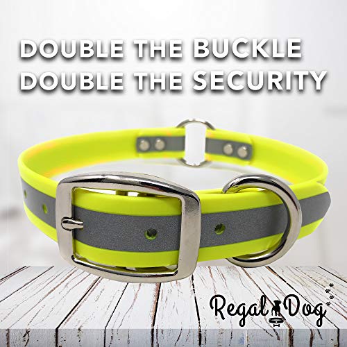 Regal Dog Products Reflective Dog Collar & Leash Set, Metal, Small Yellow - color: Yellow, size: Small Collar & Leash