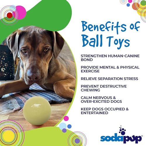 SodaPup Squeaker Ball – Durable Dog Ball Toy, Chew Toy & Floating Retrieving Toy with Squeaker Made in USA from Non-Toxic, Pet-Safe, Food Safe Rubber Material for Bonding, Physical Exercise, & More - color: Glow in the Dark Ball, size: Large