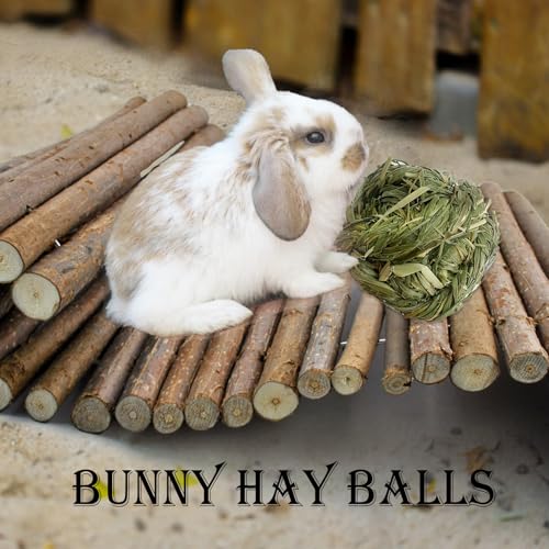 kathson Natural Rabbit Grass Ball,Timothy Grasses Chew Toys,Natural Weaving Molar Tooth Toy,Bunny Activity Play Balls for Chinchillas Hamster Guinea Pig and Small Animal (6 PCS) - color: Grass green