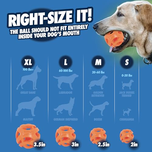 Chuckit! Air Fetch Ball, Large 3in, for Dogs 60-100lbs, 1 Count (Pack of 12) - color: Fetch Ball (3 Inch), size: 1 Count (Pack of 12)
