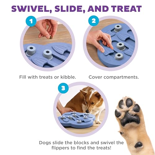 Outward Hound Nina Ottosson Dog Hide N' Slide Dog Toy Treat Puzzle, 11.6" - color: Dog Hide-N-Slide (Purple), size: 1 Count (Pack of 1)