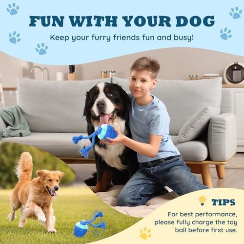 Interactive Dog Toys Ball, Motion Activated Dog Toy for Medium/Large Dogs, Wicked Balls for Boredom, Dogs Toy to Keep Them Busy(Blue) - color: Blue