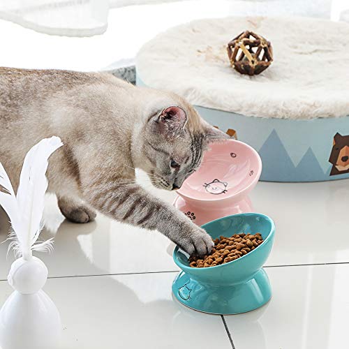 Sweejar Ceramic Raised Cat Bowls, Slanted Cat Dish Food or Water Bowls, Elevated Porcelain Pet Feeder Bowl Protect Cat's Spine, Stress Free, Backflow Prevention (Turquoise) - color: Turquoise, style: 5 Inch