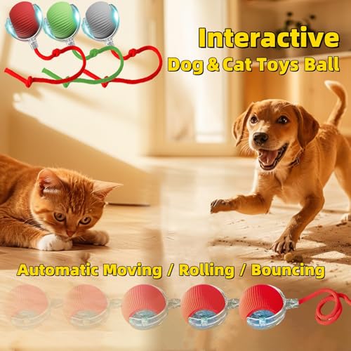 Interactive Dog Cat Toy Ball, Automatic Moving Bouncing Rolling, with Replacement Tail, Pet Smart Chase Ball Rechargeable, Enrichment Toys for Bored Indoor Adult Cats/Dogs - color: Red