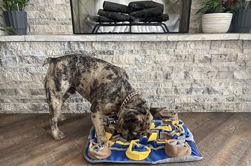 Piggy Poo and Crew Dichromatic Snuffle Foraging Mat for Dogs Perception of Color Enrichment Toy for Dogs Puppies Pigs Rabbits Cats Small Animals - color: Blue Yellow Brown Gray
