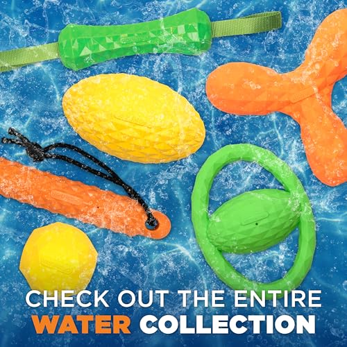 Squeaky Fetch Ball - Floating Outdoor Dog Toy - 3-Pack - color: 3-Pack
