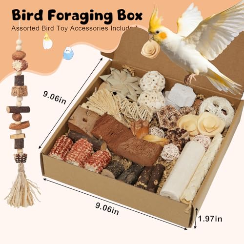 Bird Toys Natural Parrot Foraging Box with DIY Hanging String - size: Large