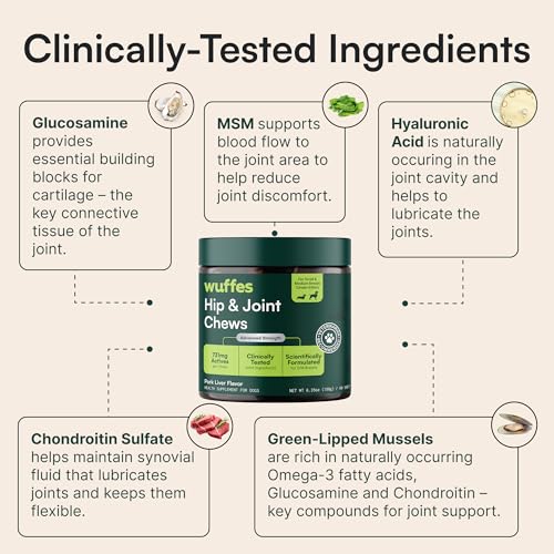 Wuffes Advanced Hip & Joint Chews for Small & Medium Dogs, Vet Recommended, Glucosamine, Chondroitin, MSM, Green-Lipped Mussel, Hyaluronic Acid & Omega-3s. Supports Mobility & Flexibility. 180 Chews - size: Pack of 3