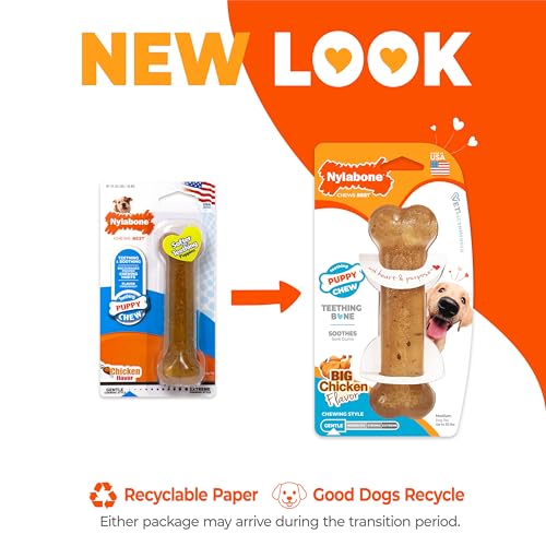 Nylabone Puppy Chew Teething Bone Dog Chew Toy, Chicken Flavor, Medium - color: Teething Bone, size: Medium
