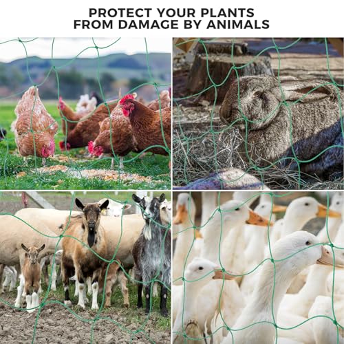Kikhope Trellis Netting for Climbing Plants, 3 Pack 5.9x8.8 ft Trellis Net - size: 5.9ft x 8.8ft (3 Packs)
