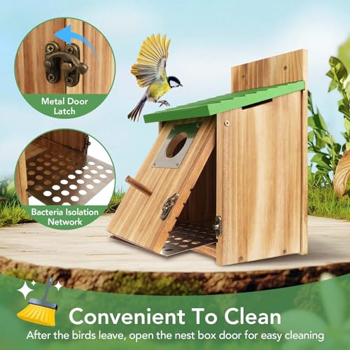 2 Pack Bird Houses for Outside- Cedar Bird House with Metal Predator Guard - color: Green - 2 Pack
