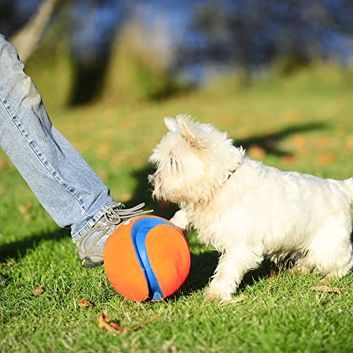 Chuckit! Kick Fetch Ball Dog Toy - Floats in Water - Perfect for Interactive Play - Made with Durable Rubber and Foam - for Large Dogs - Size Large - 8-inch Diameter - 1 Count (Pack of 4) - size: Large (Pack of 4), style: Classic