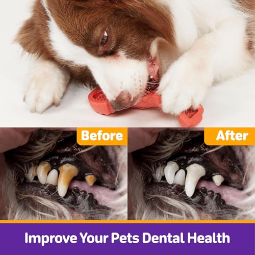 Kimee Tough Dog Toys for Aggressive Chewers, Indestructible Dog Chew Toys - color: Multi color
