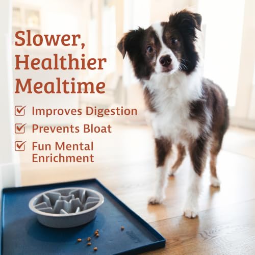 Leash Boss Slow Feeder Dog Bowls (4 Cup) Puzzle Dog Food Bowl with Feeder Holes, Fits into Elevated Pet Feeders, Slow Eating for Large, Medium & Small Sized Breeds - Blue - color: Blue, size: 4 Cup