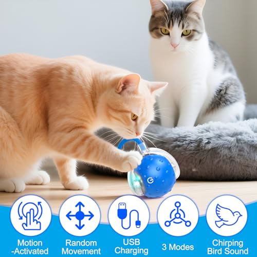 Tiny Fetch Dog Toy, Tinyfetch Interactive Dog Cat Toys Balls with Birdsong, 360° Smart Automatic Rolling Electric Dog Ball Toy, Fast Moving Balls Toys for Pets (Blue) - color: blue