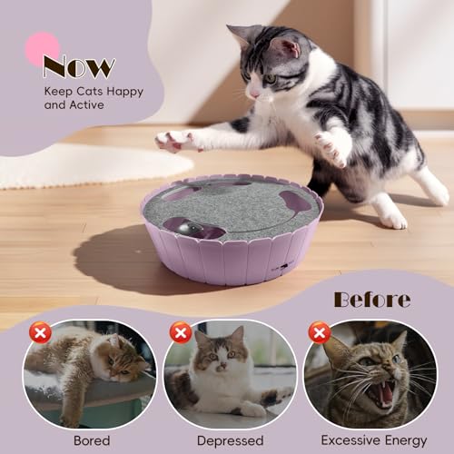 Pawaboo Interactive Cat Toy with Running Mouse, Automatic Track Kitten Toy - color: P-Purple
