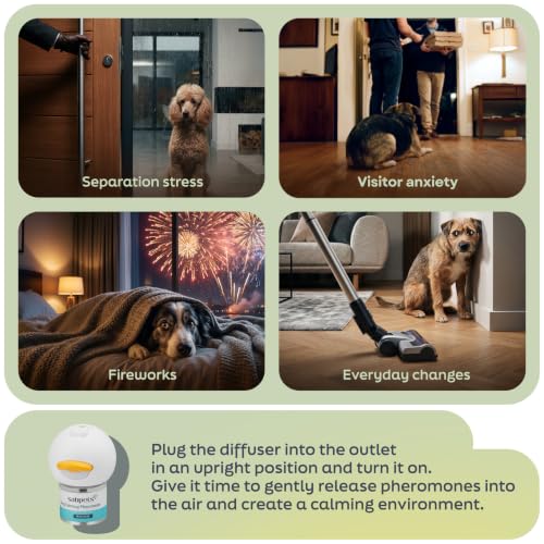 Dog Calming Diffuser – Pheromone Plug-in for Dogs + Toy - size: 5-in-1 Pack