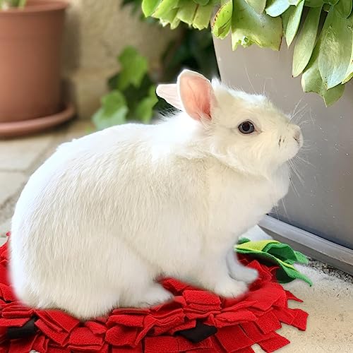 Strawberry Snuffle Mat for Dogs,Large 17.7x13.8in Scent Training Puzzle Toy - color: Strawberry