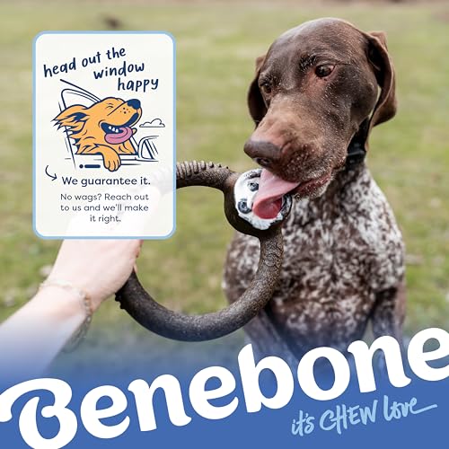 Benebone Ring Dog Chew Toy for Aggressive Chewers, Blueberry, Small - color: REAL Blueberry, size: Small