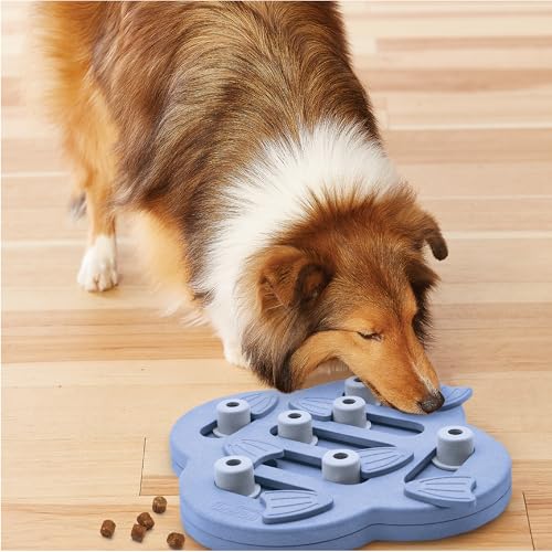 Outward Hound Nina Ottosson Dog Hide N' Slide Dog Toy Treat Puzzle, 11.6" - color: Dog Hide-N-Slide (Purple), size: 1 Count (Pack of 1)