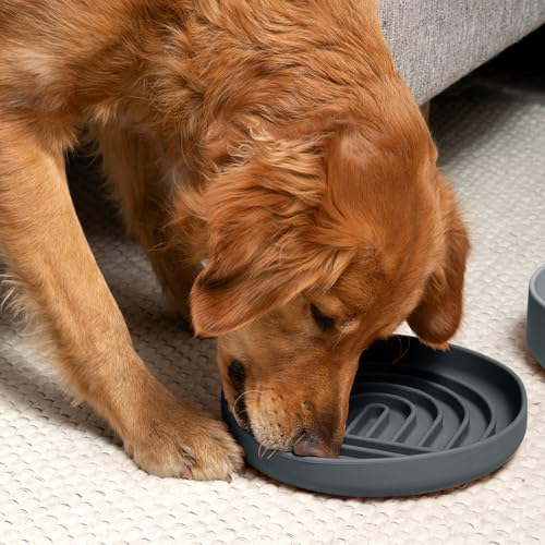 Slow Feeder Dog Bowl - Silicone Dog Bowl, Large, 9.5" x 1.5" - Charcoal - color: Charcoal - Rainbow Design, size: Large (9.5” Across and 1.5” Tall)