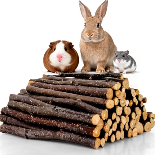 Sukh 340g Organic Apple Sticks - Natural Chew Sticks for Rabbits & Rodents - size: 340g
