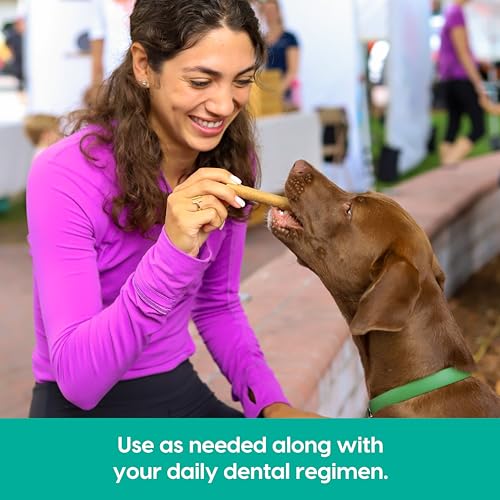 ARK NATURALS Breath Bursts Peppermint Dog Dental Treats, Large Breed (6 oz) - size: 6 Ounce (Pack of 1)