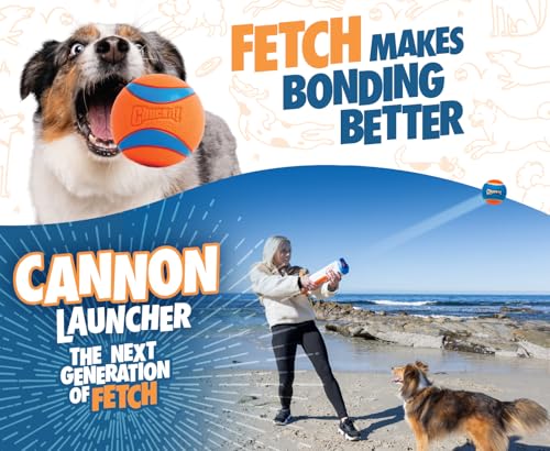 Chuckit! Cannon 16S Dog Ball Launcher, 16 Inch Size, Includes 4 Balls Total - size: Small