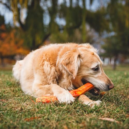 Ruffwear, Gnawt-a-Stick, Durable, Floating Dog Toy, Salamander Orange - color: Salamander Orange