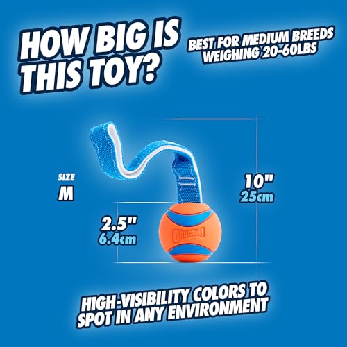 Chuckit! Ultra Tug Dog Toy, Medium, Fetch & Tug Ball for Dogs 20-60 Pounds - size: Medium, style: Ultra Tug