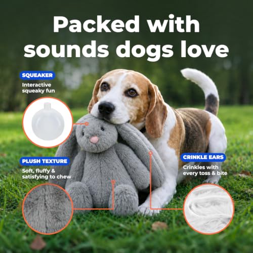 Best Pet Supplies Bunny Buddy Squeaky Plush Dog Toy - Gray - color: Bunny (Gray), size: Large