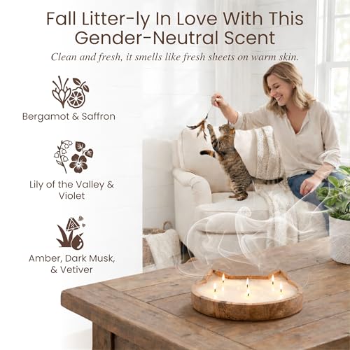 Dough Bowl Candle Co. Pet Odor Eliminator for Home - 10x10 Large Cat-Shaped Odor Absorber, 6 Wick Soy Wax Scented Candles, Pet Deodorizer Aromatherapy Candle with 70H Burn Time for Cat or Dog Smell - style: Cat Candle